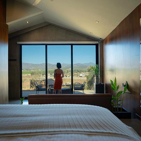 Bajo Estrellas Hotel Contemporaneo Valle de Guadalupe Exterior foto